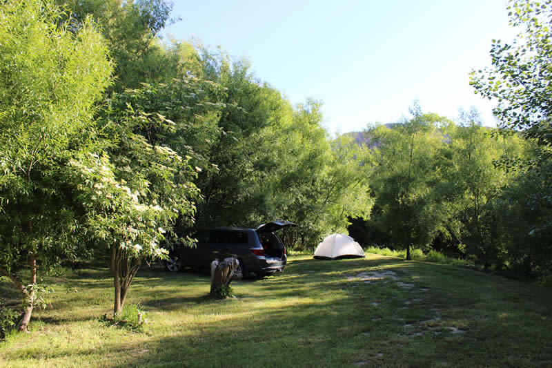Camp Sites At Waves Campsite Havelock